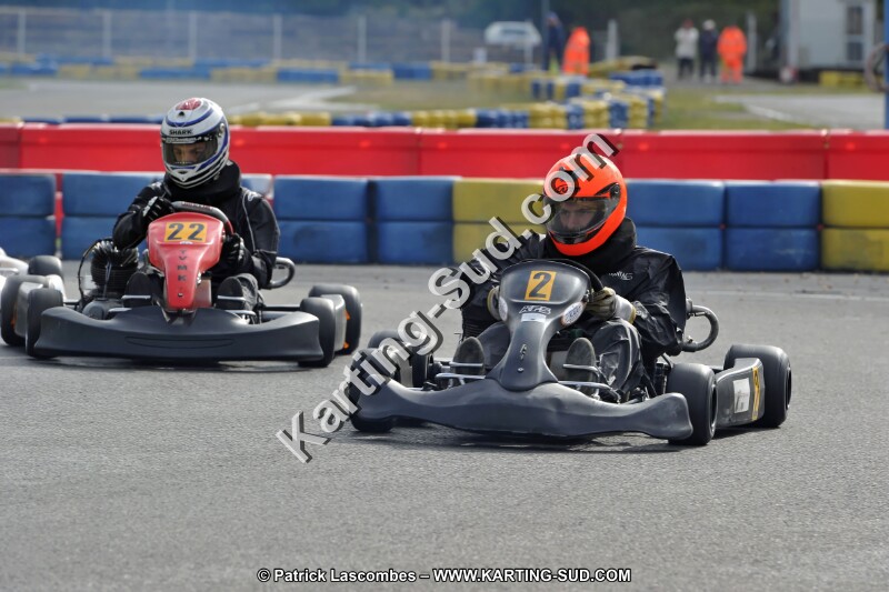 DSC_ (1210).jpg